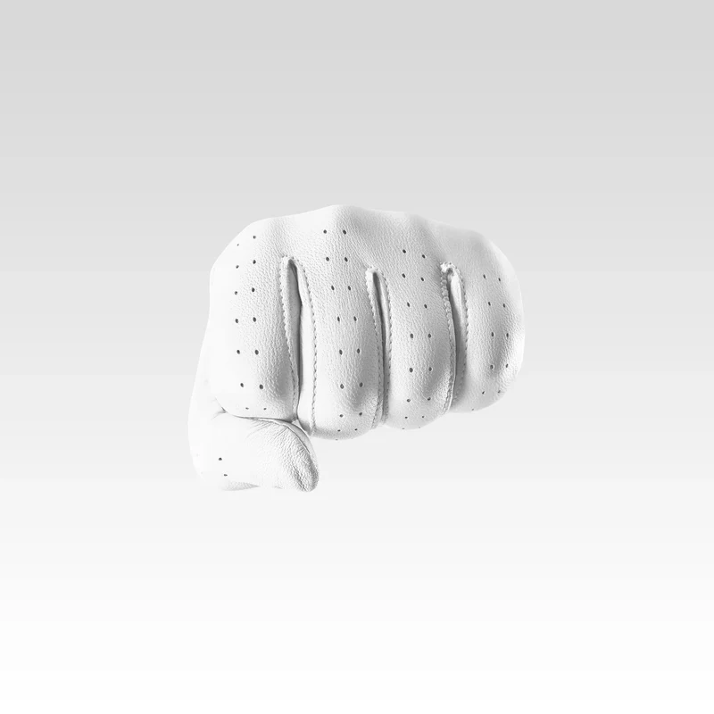 Vice Golf Pure 2024