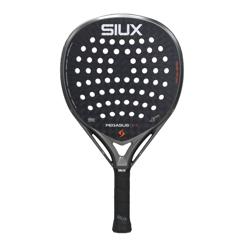 Pegasus Pro 2026 Storm Grey