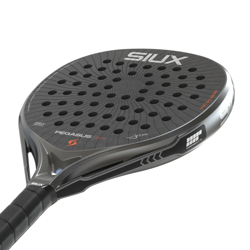Pegasus Pro 2026 Storm Grey