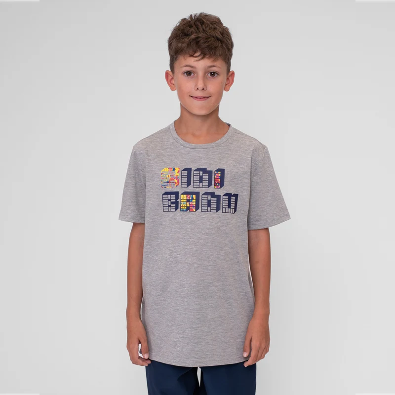 Wild Arts Chill T-Shirt Jungen - grau, mehrfarbig