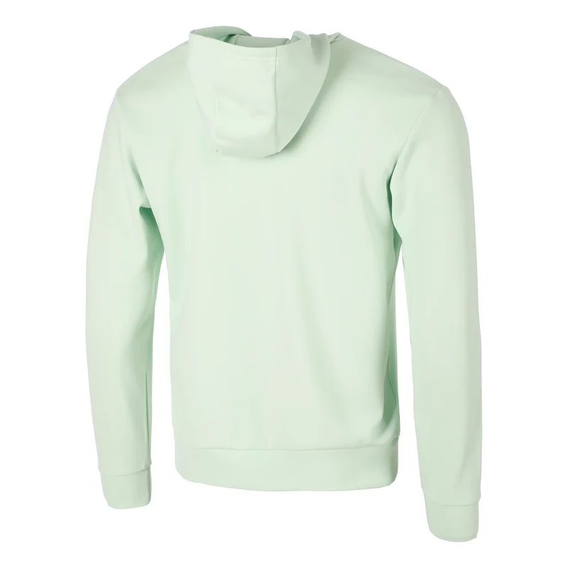 Albier Hoody Herren - grün