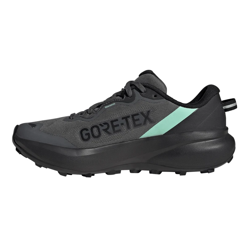 Terrex Tracefinder Plus GTX Trailschuh Damen - dunkelgrau, schwarz