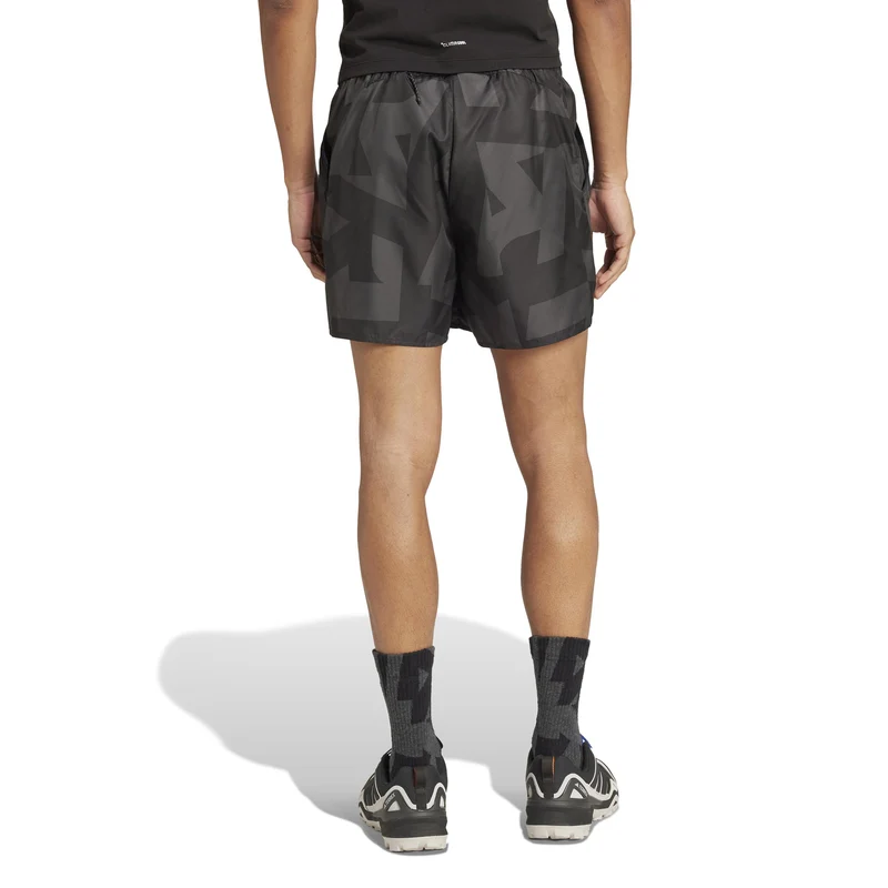 Terrex MT Light 5in Laufshorts Herren-Schwarz,Grau