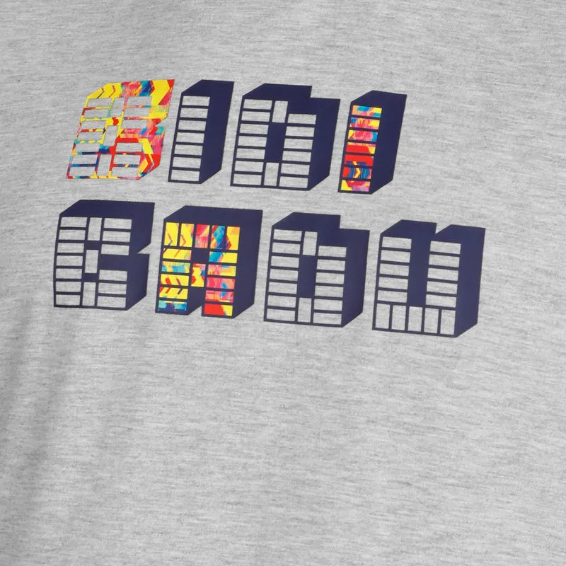 Wild Arts Chill T-Shirt Jungen - grau, mehrfarbig