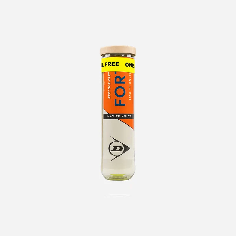 Dunlop Fort Max TP 4 can