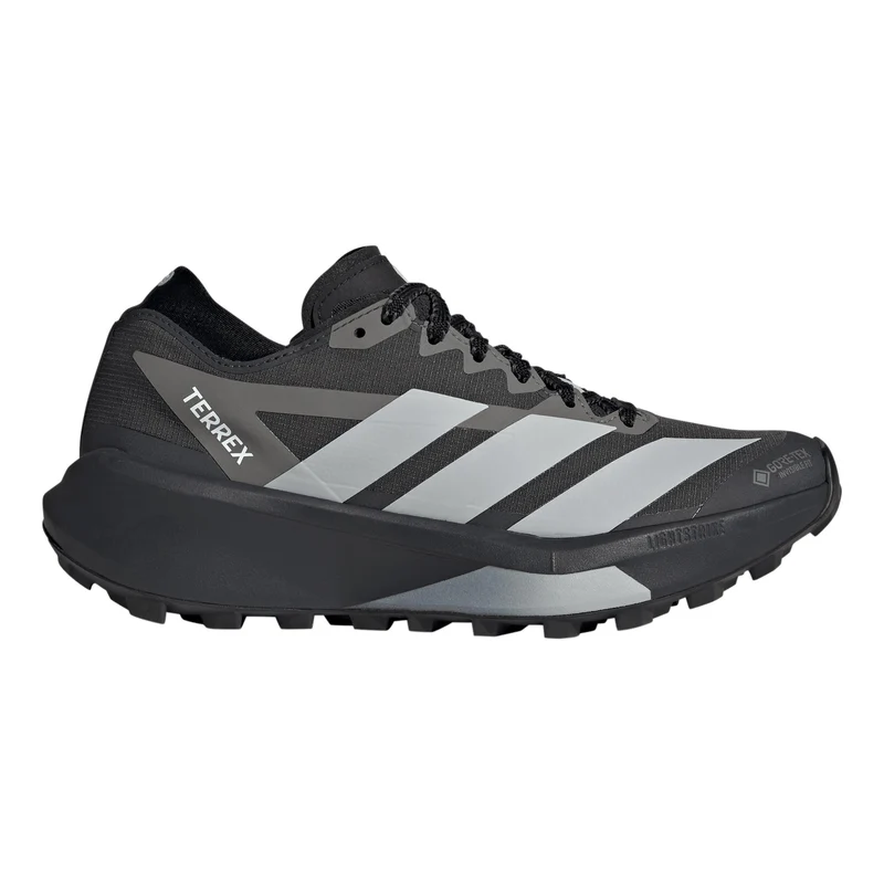 Terrex Agravic GTX 2 Trailschuh Damen - dunkelgrau, grau