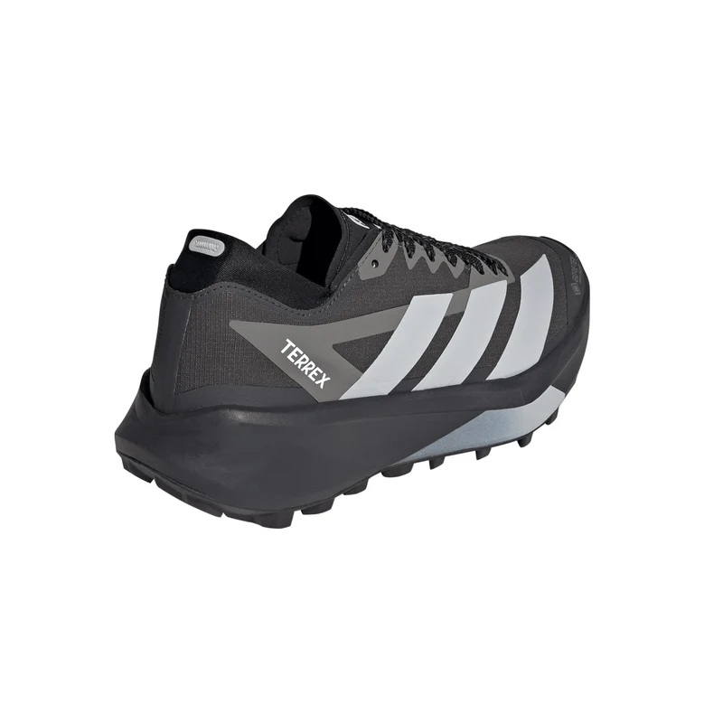 Terrex Agravic GTX 2 Trailschuh Damen - dunkelgrau, grau