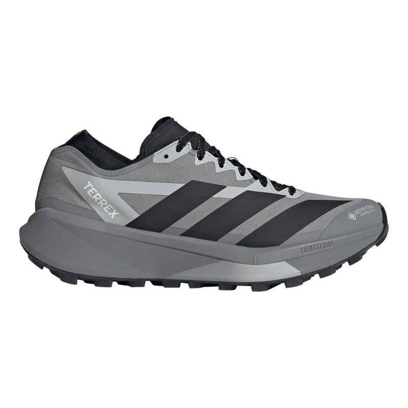 Terrex Agravic GTX 2 Trailschuh Herren - grau, grau