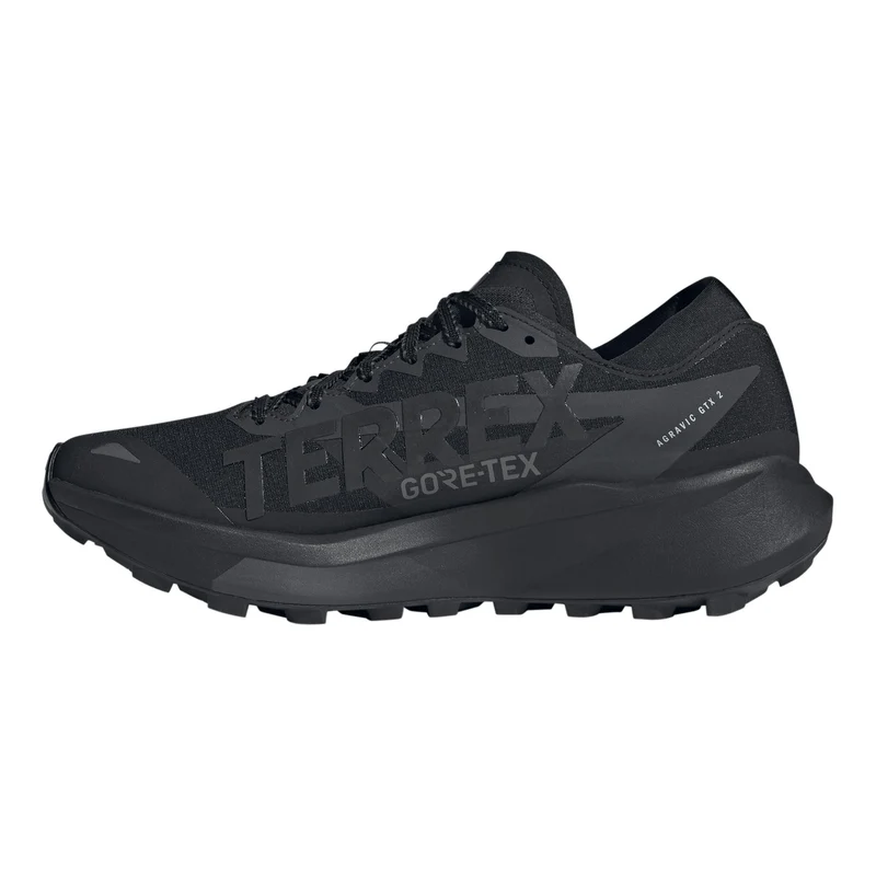 Terrex Agravic GTX 2 Trailschuh Herren - schwarz, dunkelgrau