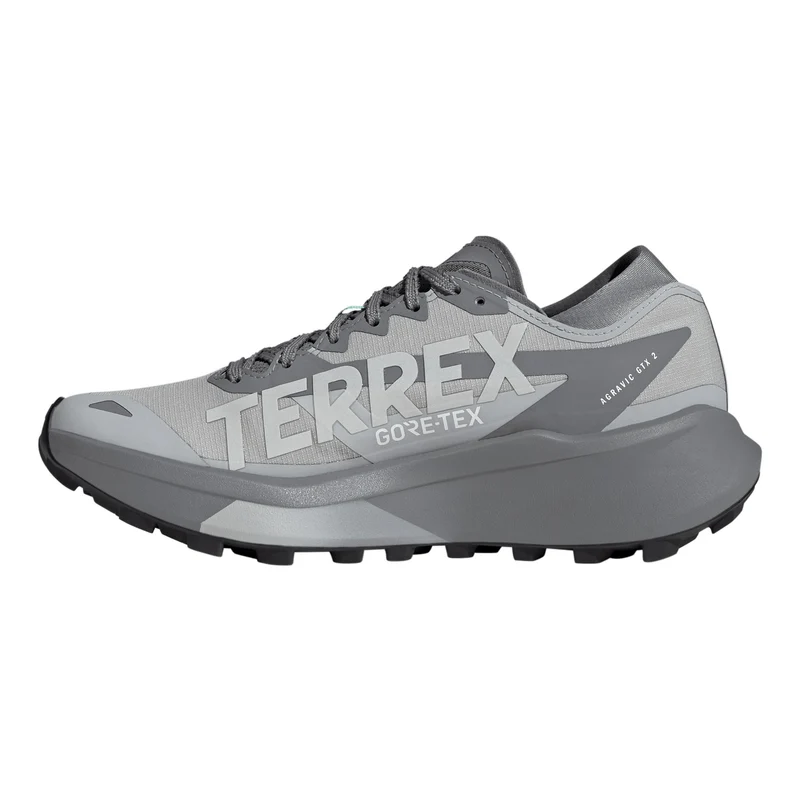 Terrex Agravic GTX 2 Trailschuh Damen - grau, grau
