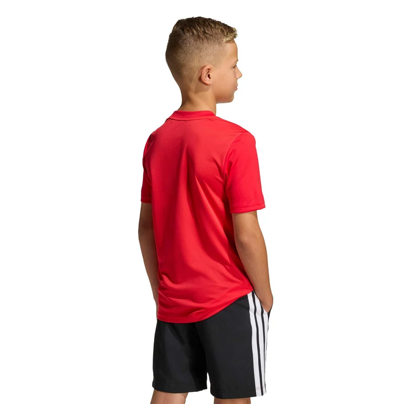 Train Essentials Logo T-Shirt Kinder - rot