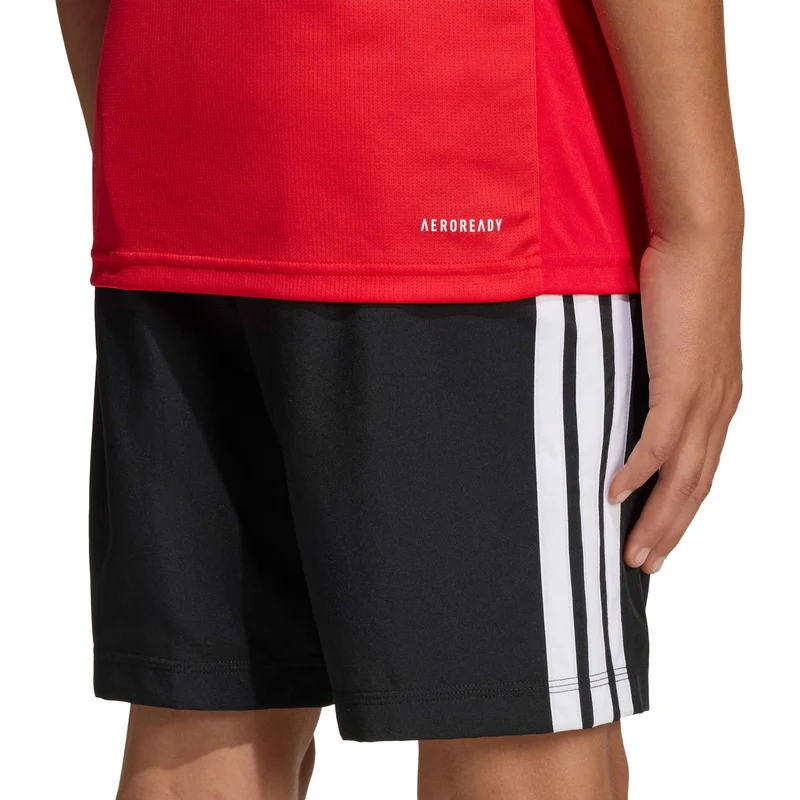 Train Essentials Logo T-Shirt Kinder - rot