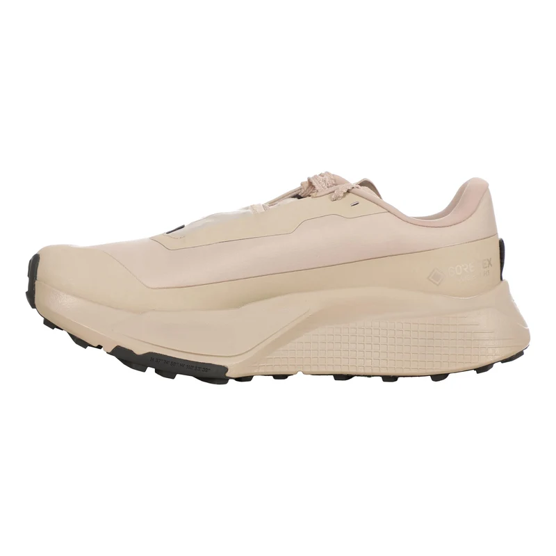 Altamesa 500 V2 GTX Trailschuh Herren - beige, beige