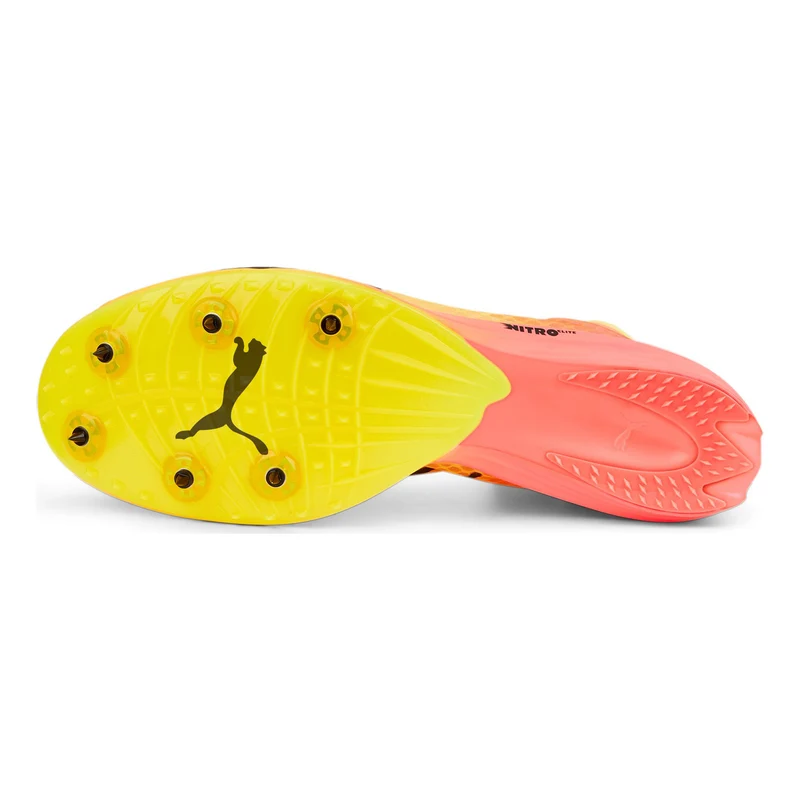 EvoSPEED Distance Nitro Elite+ 2 Spikeschuh-Gelb,Orange